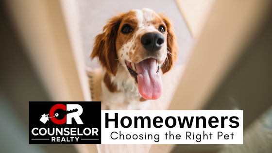 Choosing a Pet - Homeowners - Counselor Realty